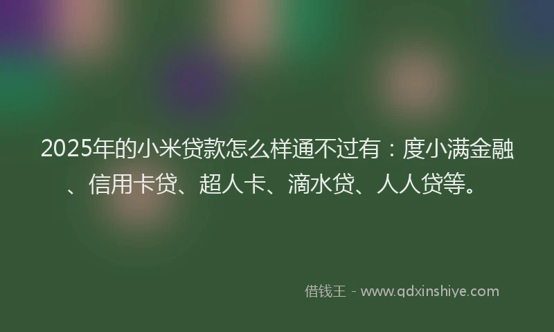 2025年的小米贷款怎么样通不过有：度小满金融、信用卡贷、超人卡、滴水贷、人人贷等。