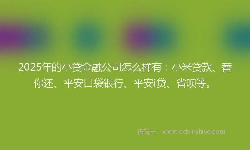 2025年的小贷金融公司怎么样有：小米贷款、替你还、平安口袋银行、平安i贷、省呗等。