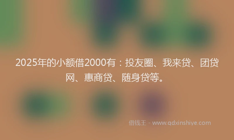 2025年的小额借2000有：投友圈、我来贷、团贷网、惠商贷、随身贷等。