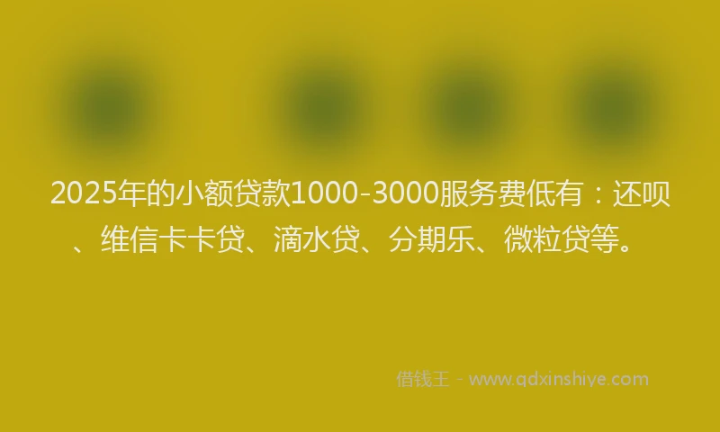 2025年的小额贷款1000-3000服务费低有：还呗、维信卡卡贷、滴水贷、分期乐、微粒贷等。