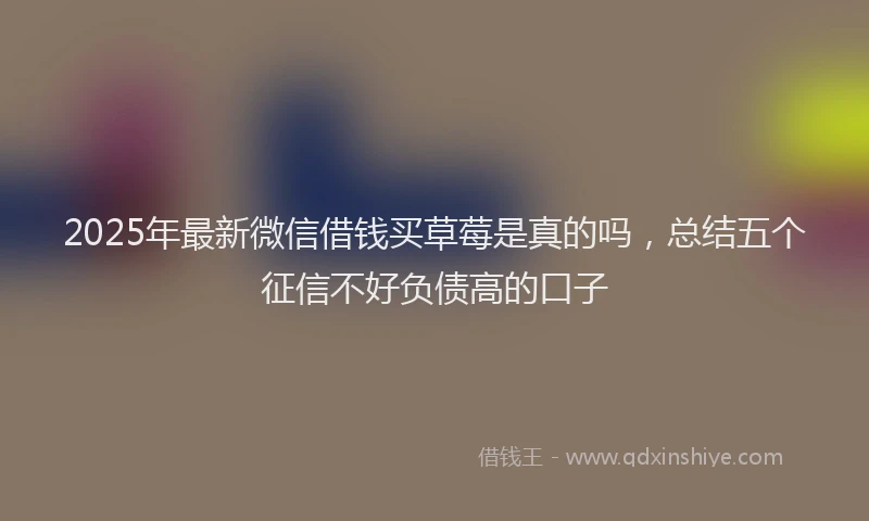 2025年最新微信借钱买草莓是真的吗，总结五个征信不好负债高的口子