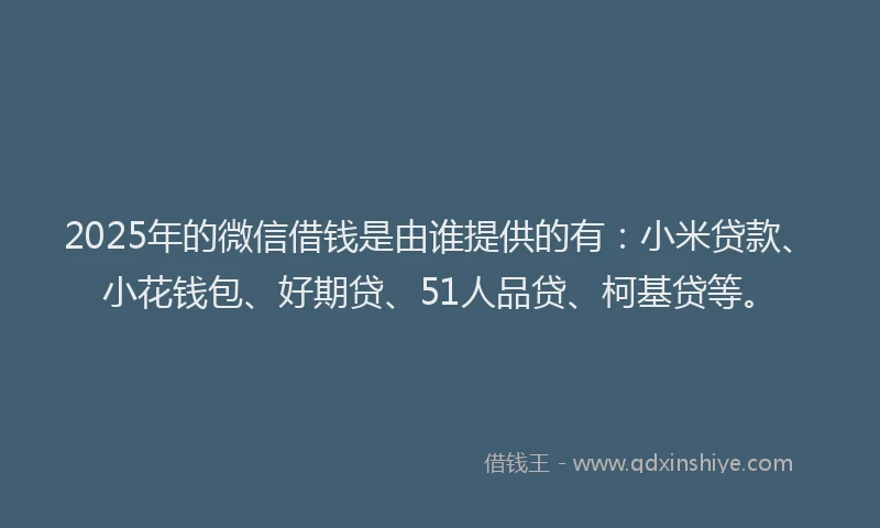 2025年的微信借钱是由谁提供的有：小米贷款、小花钱包、好期贷、51人品贷、柯基贷等。