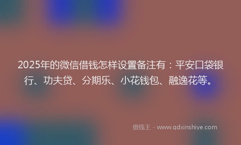 2025年的微信借钱怎样设置备注有：平安口袋银行、功夫贷、分期乐、小花钱包、融逸花等。