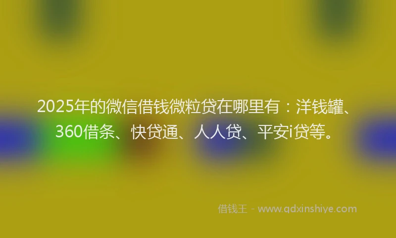 2025年的微信借钱微粒贷在哪里有：洋钱罐、360借条、快贷通、人人贷、平安i贷等。
