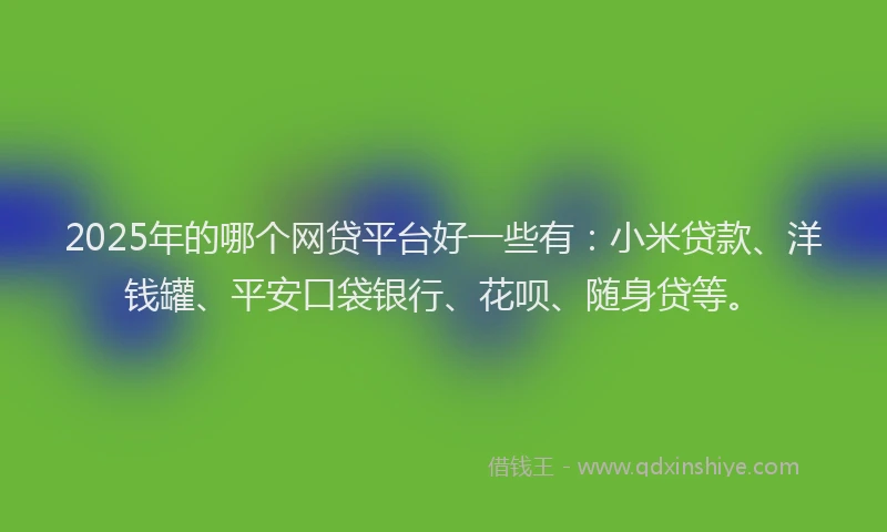 2025年的哪个网贷平台好一些有：小米贷款、洋钱罐、平安口袋银行、花呗、随身贷等。