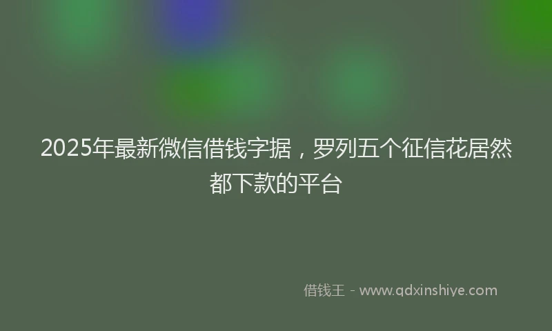 2025年最新微信借钱字据，罗列五个征信花居然都下款的平台