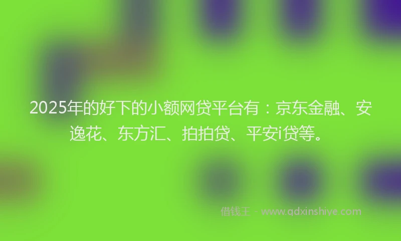 2025年的好下的小额网贷平台有：京东金融、安逸花、东方汇、拍拍贷、平安i贷等。