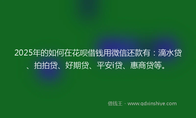 2025年的如何在花呗借钱用微信还款有：滴水贷、拍拍贷、好期贷、平安i贷、惠商贷等。