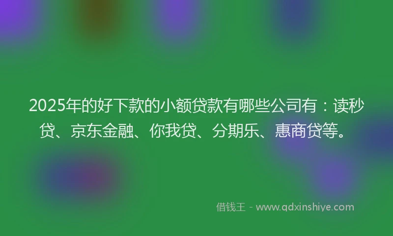 2025年的好下款的小额贷款有哪些公司有：读秒贷、京东金融、你我贷、分期乐、惠商贷等。
