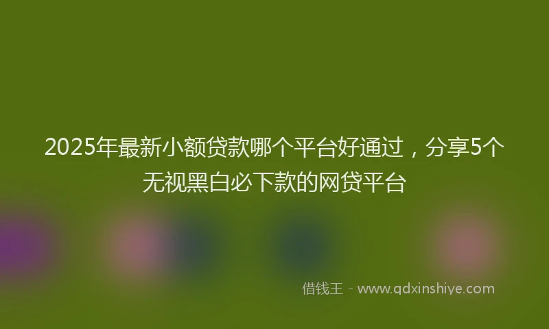 2025年最新小额贷款哪个平台好通过，分享5个无视黑白必下款的网贷平台