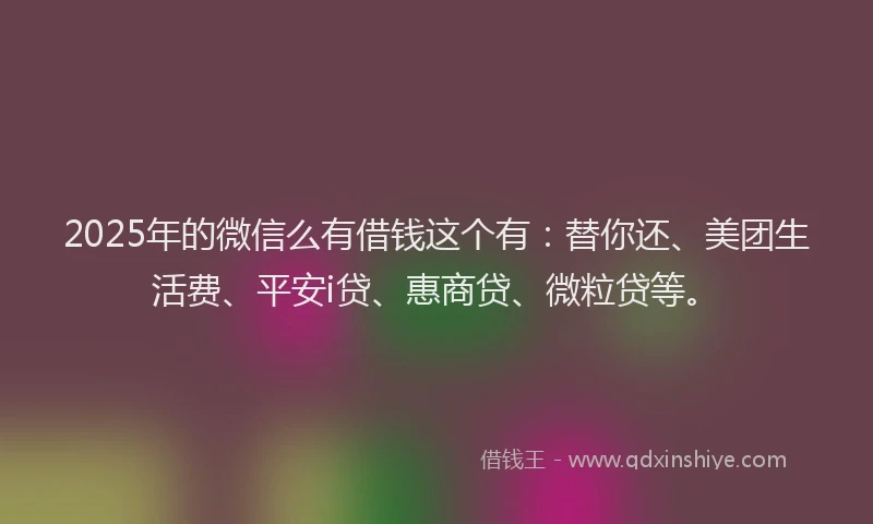 2025年的微信么有借钱这个有：替你还、美团生活费、平安i贷、惠商贷、微粒贷等。