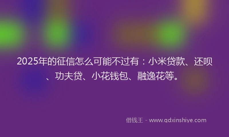 2025年的征信怎么可能不过有：小米贷款、还呗、功夫贷、小花钱包、融逸花等。