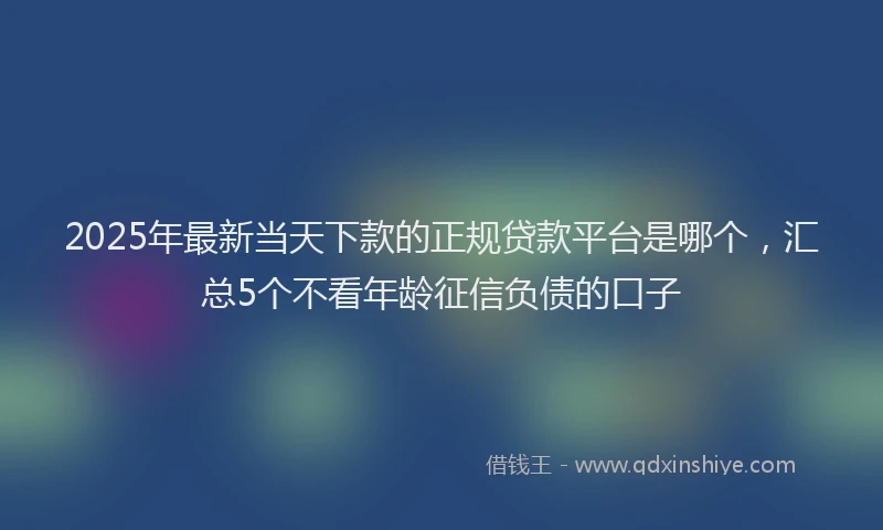2025年最新当天下款的正规贷款平台是哪个，汇总5个不看年龄征信负债的口子