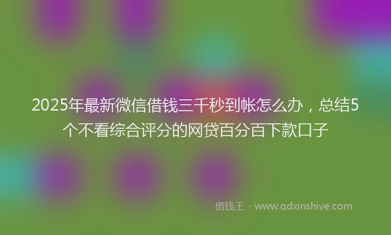 2025年最新微信借钱三千秒到帐怎么办，总结5个不看综合评分的网贷百分百下款口子