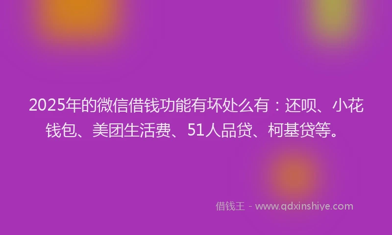 2025年的微信借钱功能有坏处么有：还呗、小花钱包、美团生活费、51人品贷、柯基贷等。