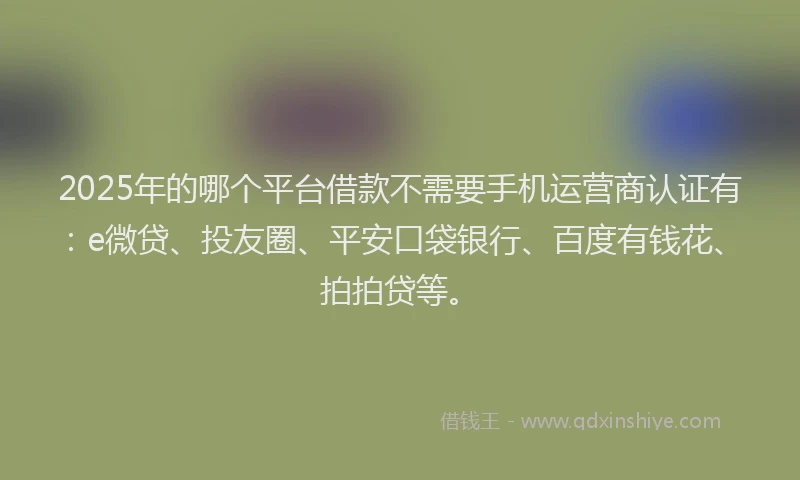 2025年的哪个平台借款不需要手机运营商认证有：e微贷、投友圈、平安口袋银行、百度有钱花、拍拍贷等。