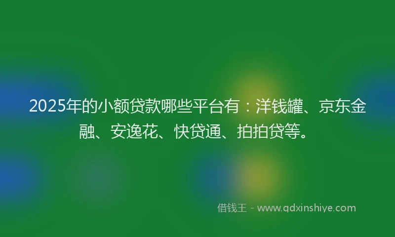 2025年的小额贷款哪些平台有：洋钱罐、京东金融、安逸花、快贷通、拍拍贷等。