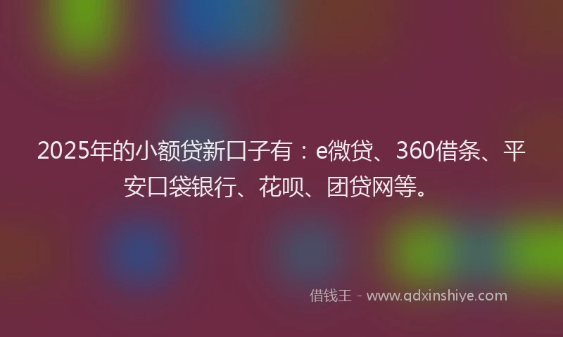2025年的小额贷新口子有：e微贷、360借条、平安口袋银行、花呗、团贷网等。