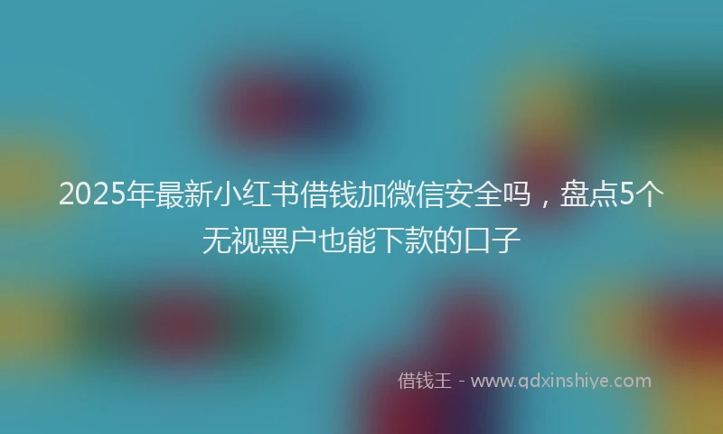 2025年最新小红书借钱加微信安全吗，盘点5个无视黑户也能下款的口子