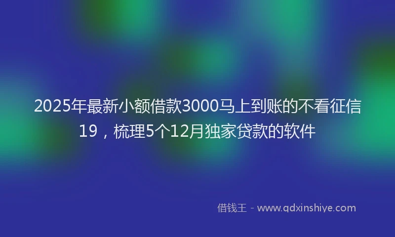 2025年最新小额借款3000马上到账的不看征信19，梳理5个12月独家贷款的软件