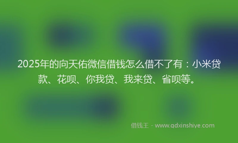 2025年的向天佑微信借钱怎么借不了有：小米贷款、花呗、你我贷、我来贷、省呗等。