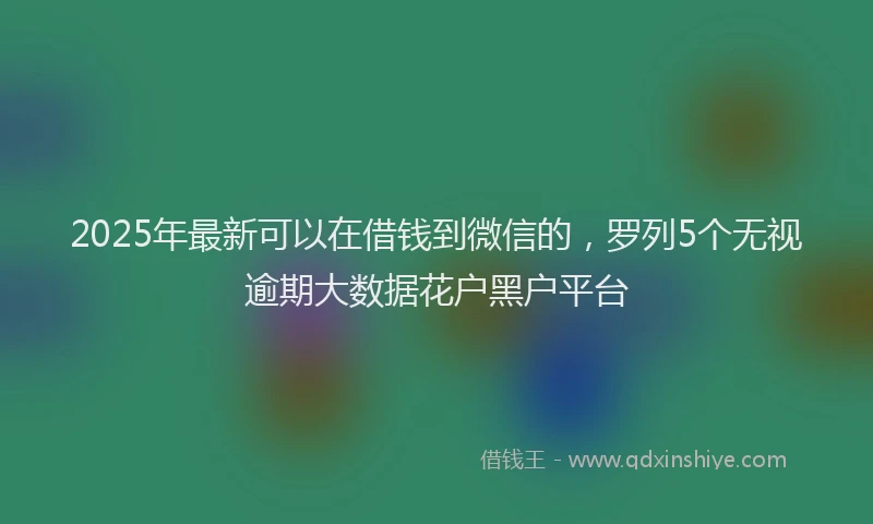 2025年最新可以在借钱到微信的，罗列5个无视逾期大数据花户黑户平台