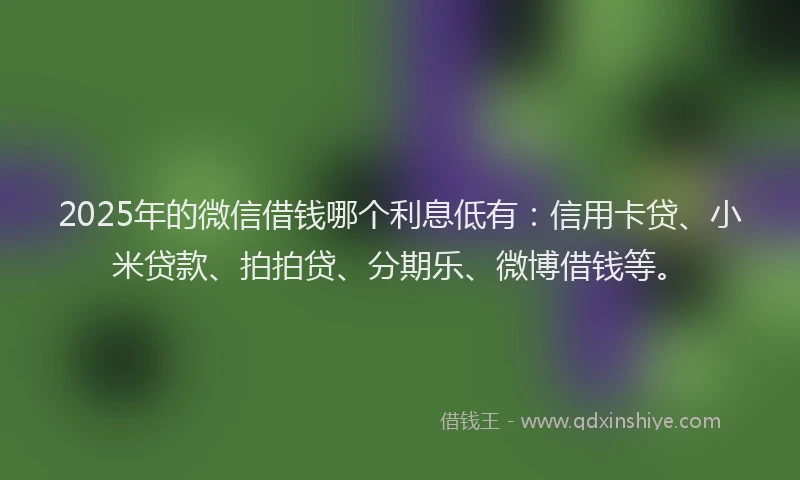 2025年的微信借钱哪个利息低有：信用卡贷、小米贷款、拍拍贷、分期乐、微博借钱等。