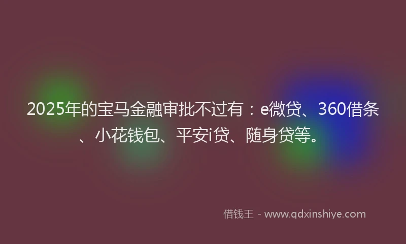 2025年的宝马金融审批不过有：e微贷、360借条、小花钱包、平安i贷、随身贷等。