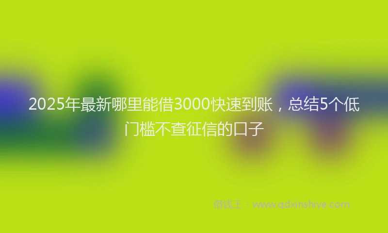 2025年最新哪里能借3000快速到账，总结5个低门槛不查征信的口子