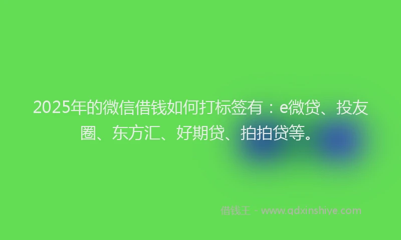 2025年的微信借钱如何打标签有：e微贷、投友圈、东方汇、好期贷、拍拍贷等。