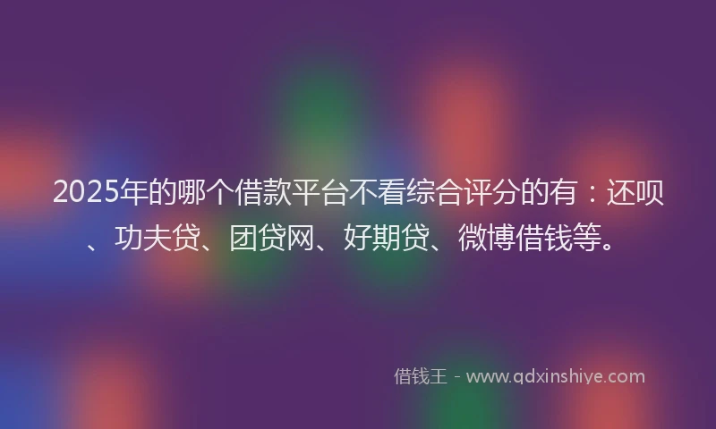 2025年的哪个借款平台不看综合评分的有：还呗、功夫贷、团贷网、好期贷、微博借钱等。