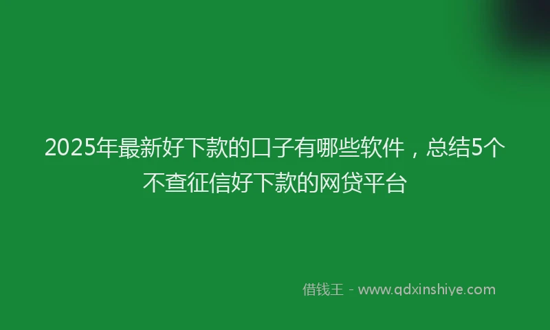 2025年最新好下款的口子有哪些软件，总结5个不查征信好下款的网贷平台