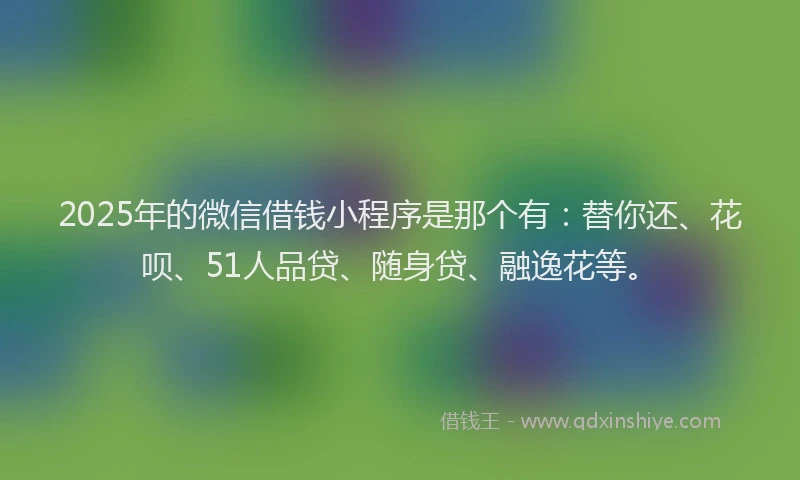2025年的微信借钱小程序是那个有：替你还、花呗、51人品贷、随身贷、融逸花等。