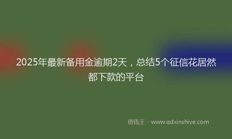 2025年最新备用金逾期2天，总结5个征信花居然都下款的平台