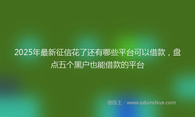 2025年最新征信花了还有哪些平台可以借款，盘点五个黑户也能借款的平台