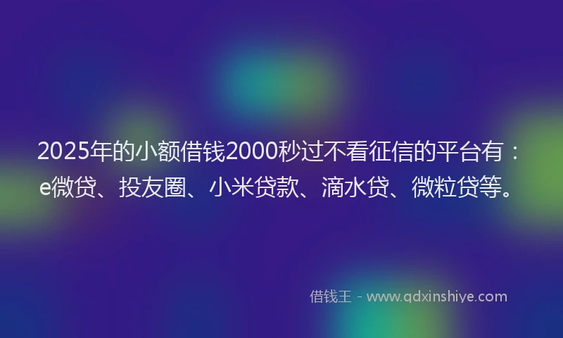 2025年的小额借钱2000秒过不看征信的平台有：e微贷、投友圈、小米贷款、滴水贷、微粒贷等。
