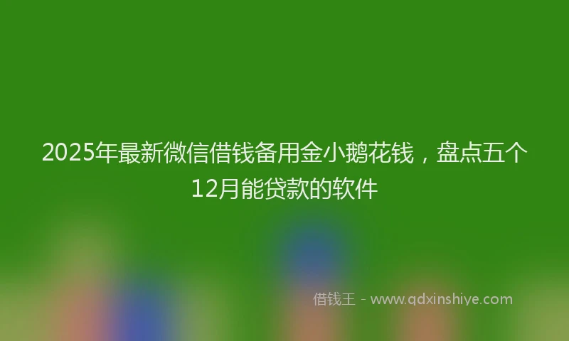 2025年最新微信借钱备用金小鹅花钱，盘点五个12月能贷款的软件