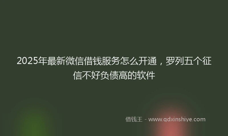 2025年最新微信借钱服务怎么开通，罗列五个征信不好负债高的软件