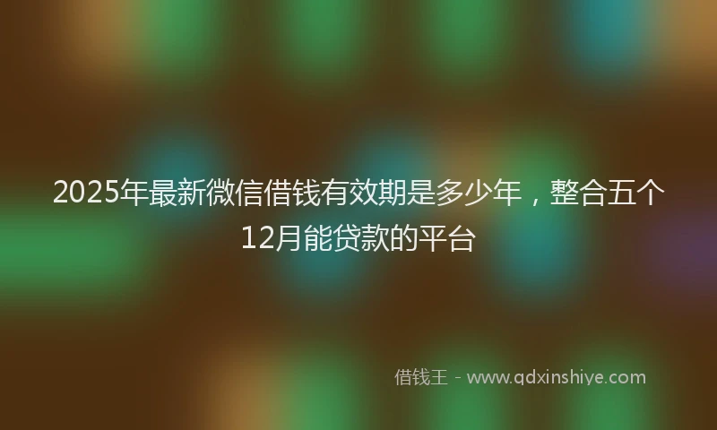 2025年最新微信借钱有效期是多少年，整合五个12月能贷款的平台