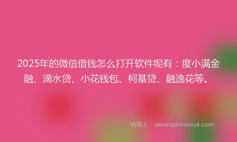 2025年的微信借钱怎么打开软件呢有：度小满金融、滴水贷、小花钱包、柯基贷、融逸花等。