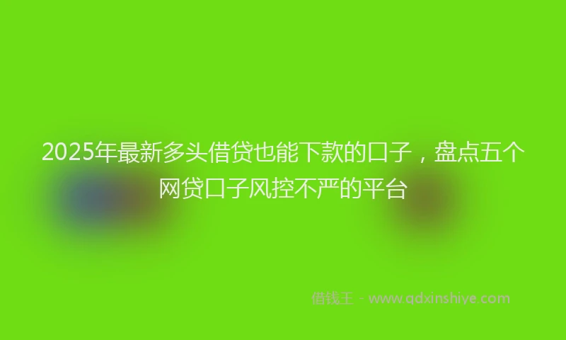 2025年最新多头借贷也能下款的口子，盘点五个网贷口子风控不严的平台
