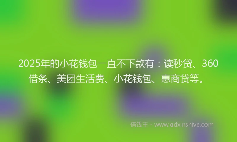 2025年的小花钱包一直不下款有：读秒贷、360借条、美团生活费、小花钱包、惠商贷等。