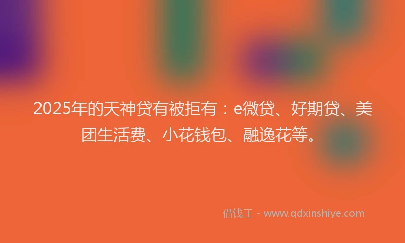 2025年的天神贷有被拒有：e微贷、好期贷、美团生活费、小花钱包、融逸花等。