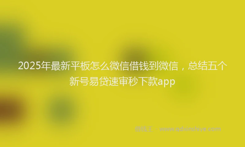 2025年最新平板怎么微信借钱到微信，总结五个新号易贷速审秒下款app