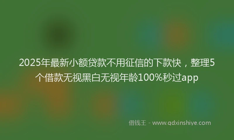 2025年最新小额贷款不用征信的下款快，整理5个借款无视黑白无视年龄100%秒过app