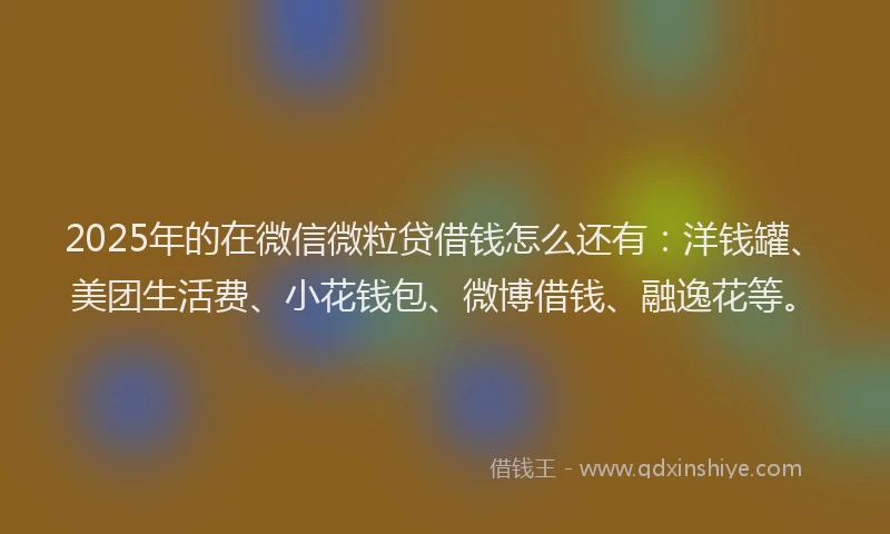 2025年的在微信微粒贷借钱怎么还有：洋钱罐、美团生活费、小花钱包、微博借钱、融逸花等。
