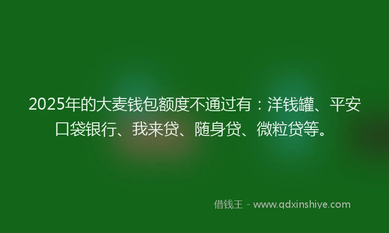 2025年的大麦钱包额度不通过有：洋钱罐、平安口袋银行、我来贷、随身贷、微粒贷等。
