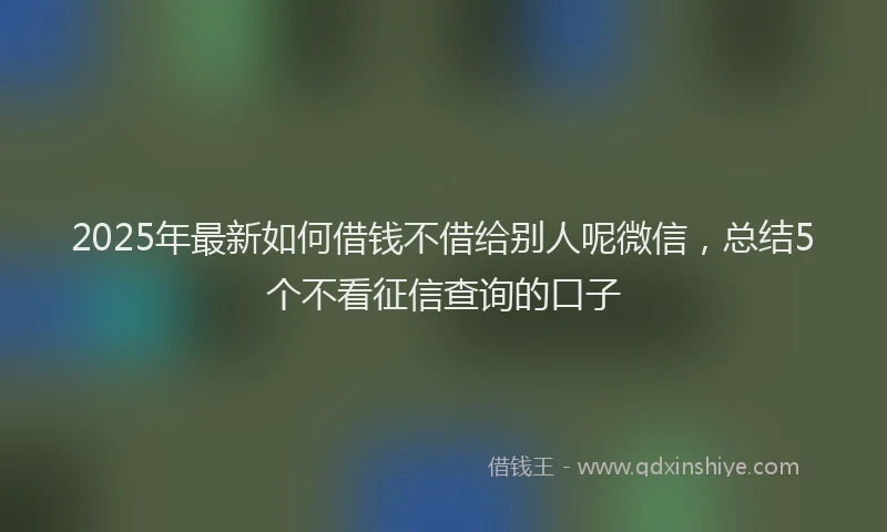 2025年最新如何借钱不借给别人呢微信，总结5个不看征信查询的口子