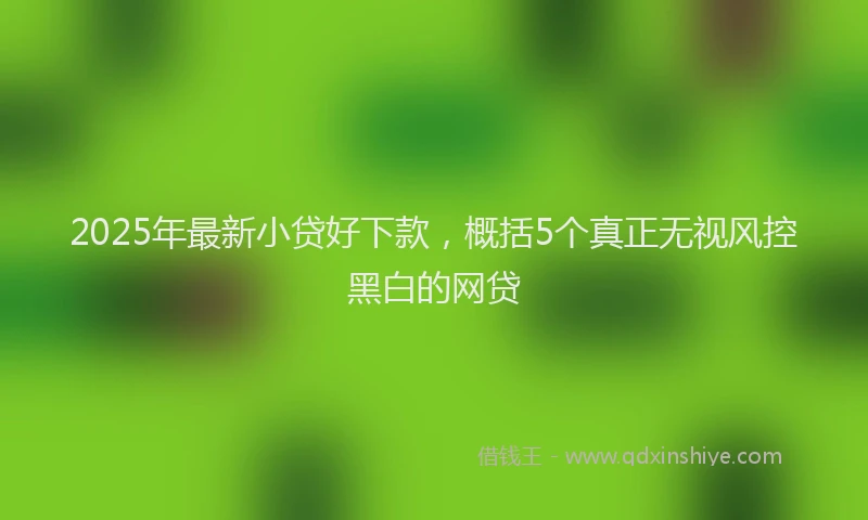 2025年最新小贷好下款，概括5个真正无视风控黑白的网贷