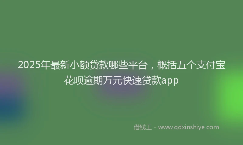 2025年最新小额贷款哪些平台，概括五个支付宝花呗逾期万元快速贷款app